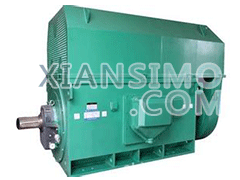 JR115-10YXKK(2极)高效高压电机技术参数