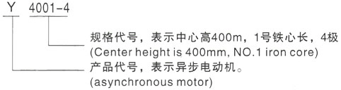 西安泰富西玛Y系列(H355-1000)高压JR115-10三相异步电机型号说明