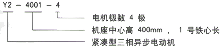 YR系列(H355-1000)高压JR115-10三相异步电机西安西玛电机型号说明